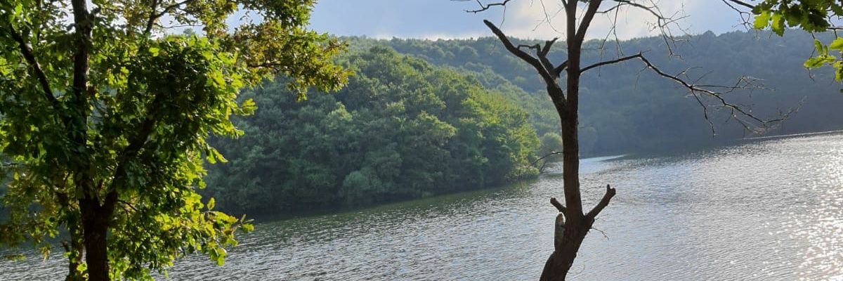 SuralMuhammet's profile banner image