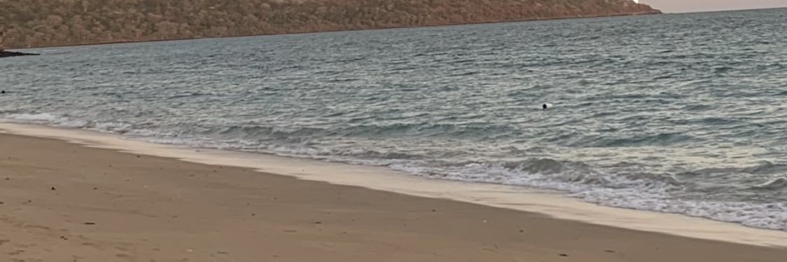 QuarantinedSat's profile banner image
