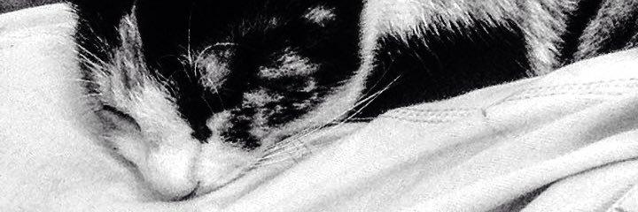 Bumy___'s profile banner image