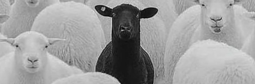 blessedndrich's profile banner image