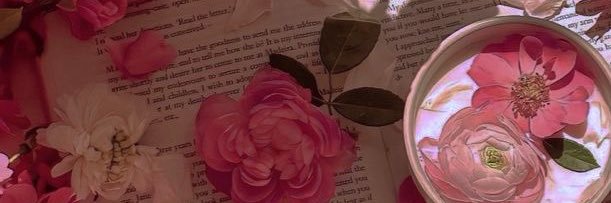 sh140445's profile banner image