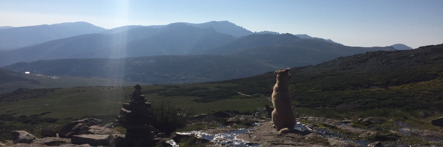 mentlliure's profile banner image
