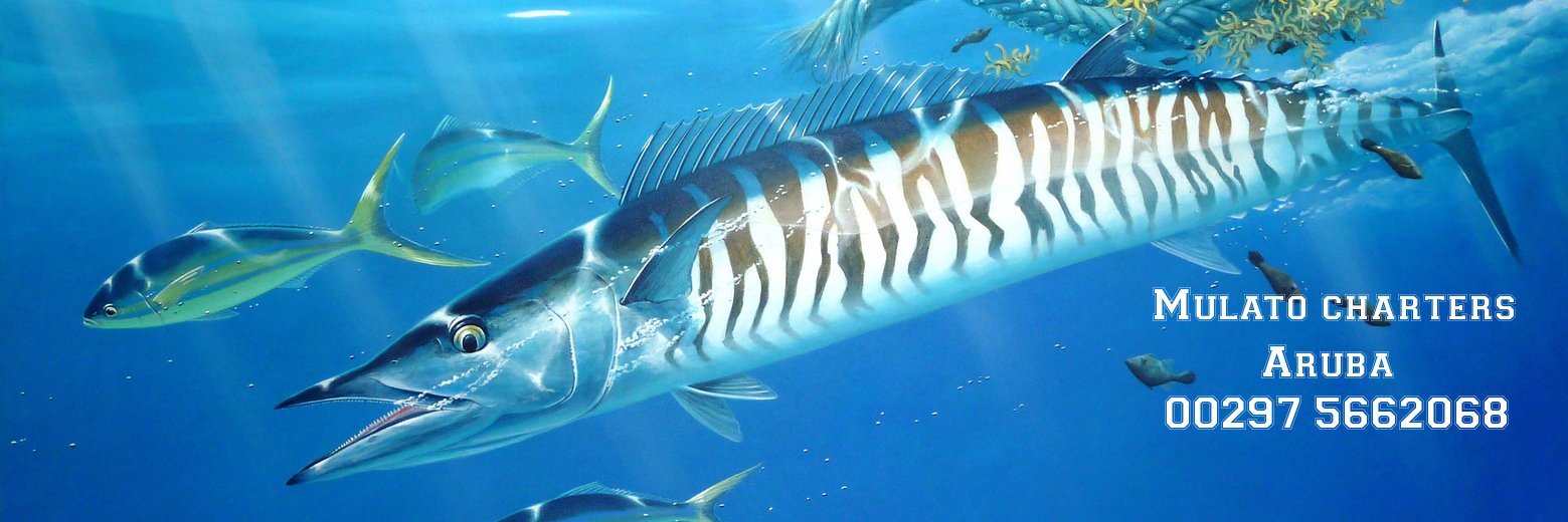Deepbluefisher's profile banner image