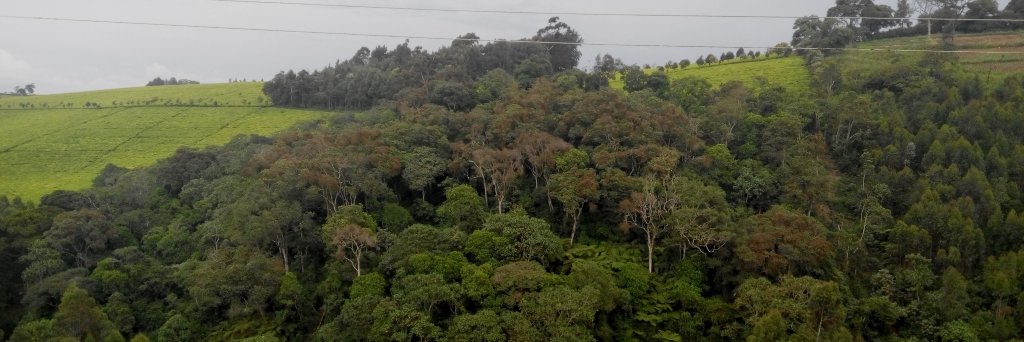NjorogProf's profile banner image