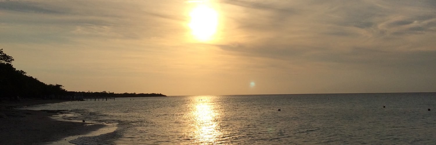 Tookasmomma's profile banner image