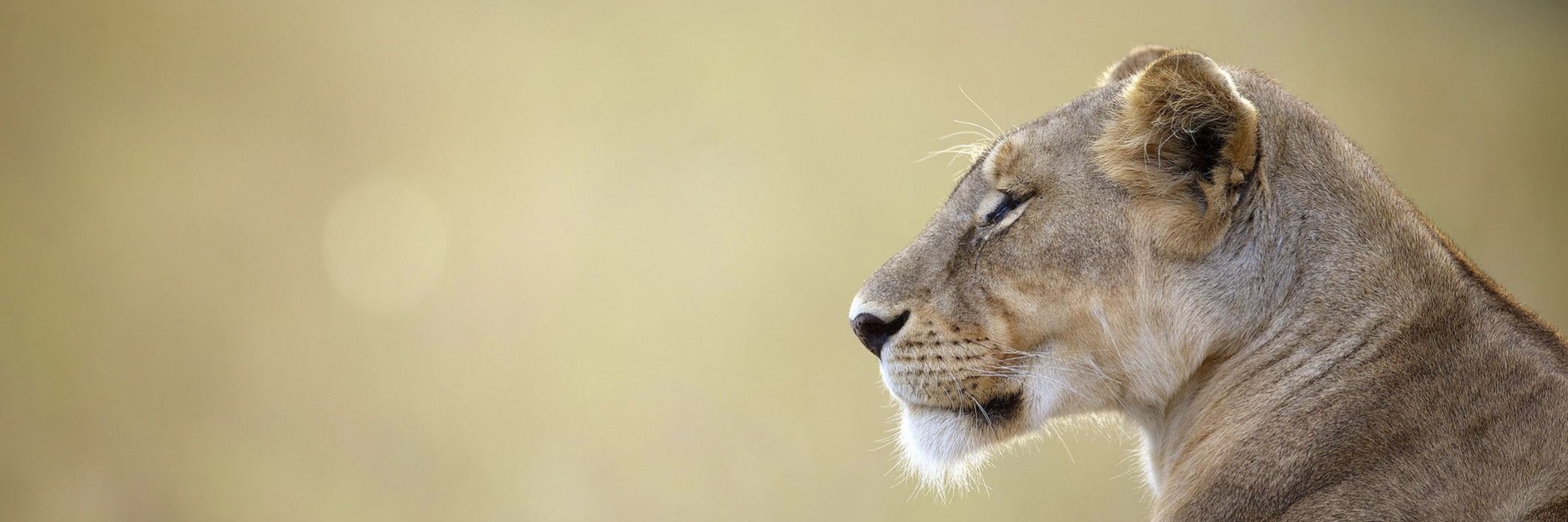 visitnakuru's profile banner image