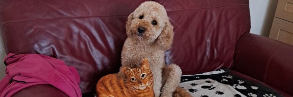 raywoods Profile Banner