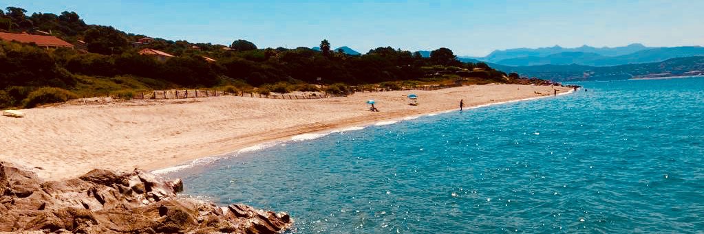 Virginie Fichet banner