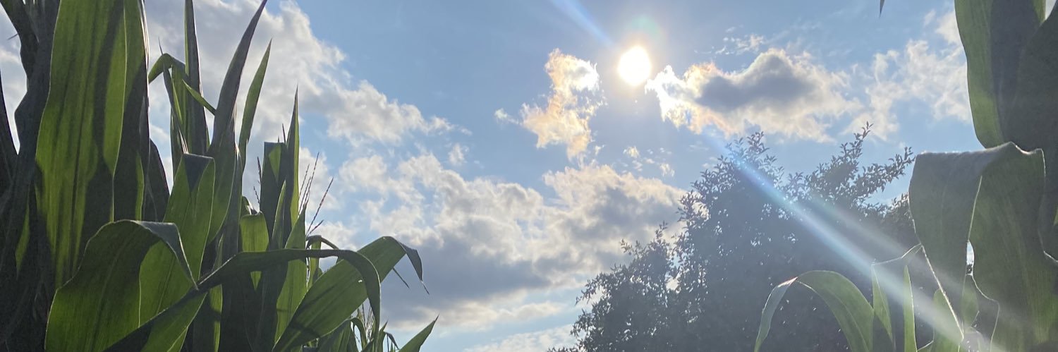 AlexisRupe99's profile banner image