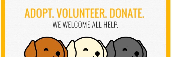 LuckyLab_rescue's profile banner image