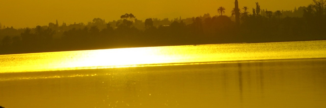andronikoug's profile banner image