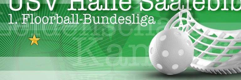 Saalebiber's profile banner image