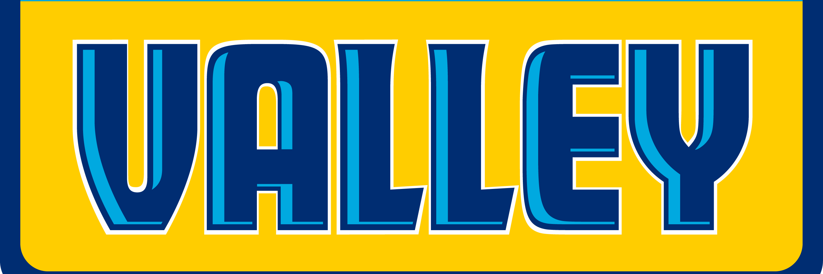 Valley Falcons banner