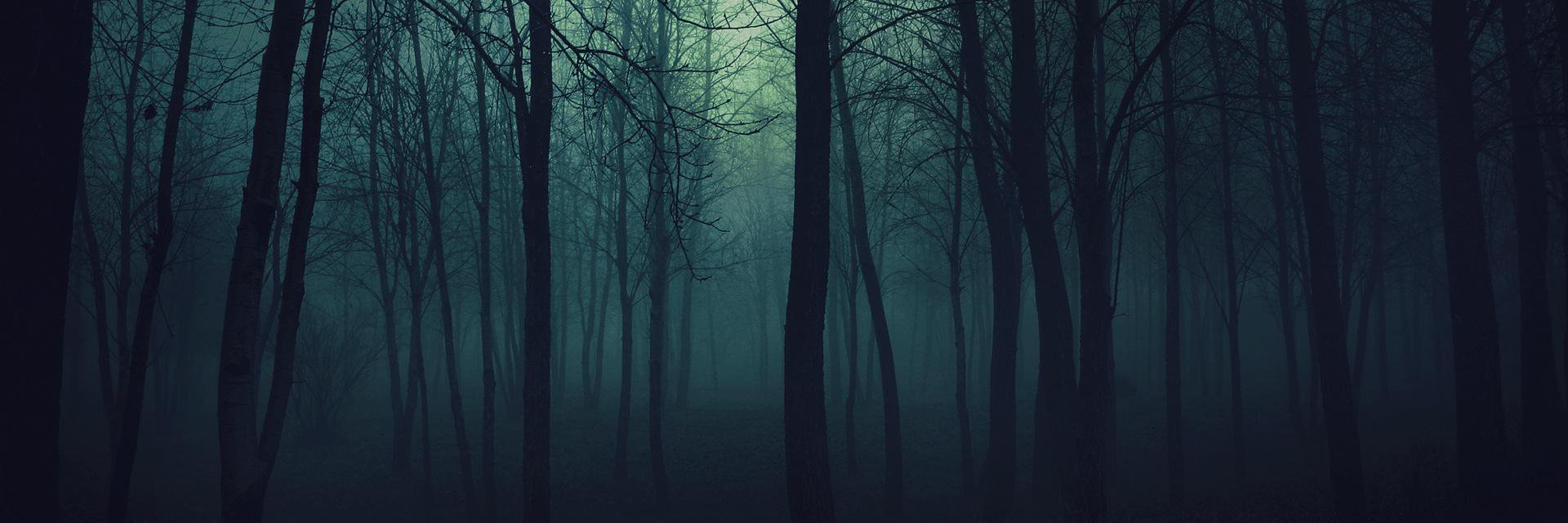 Haunted Hassel banner