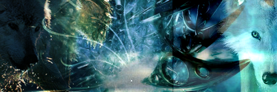 Nijelis's profile banner image