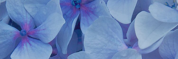 natashaa_jane's profile banner image