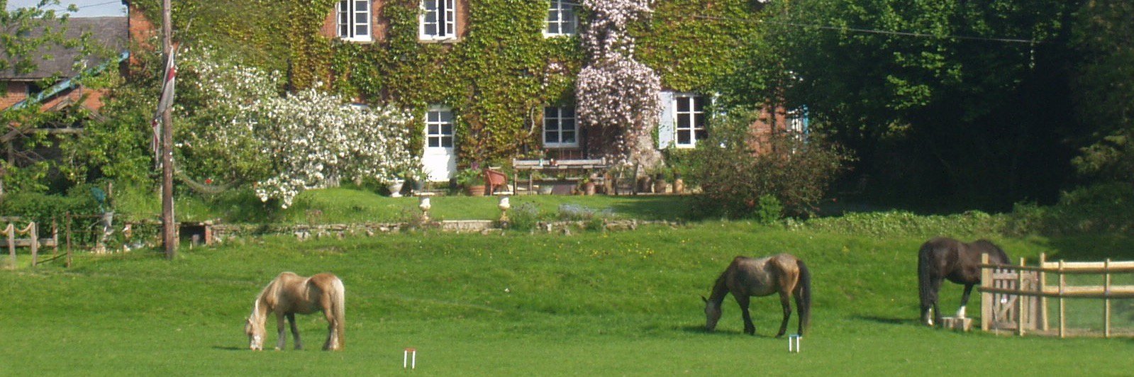 Carolyn Chesshire 🦌 banner