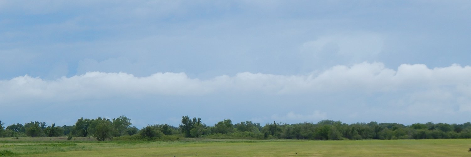 darksilverjesse's profile banner image
