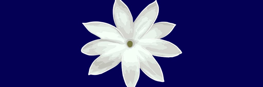 blamblamblam4's profile banner image