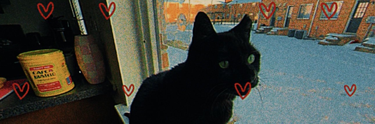 𝔭𝔥𝔬𝔢𝔟𝔢 🥀 banner