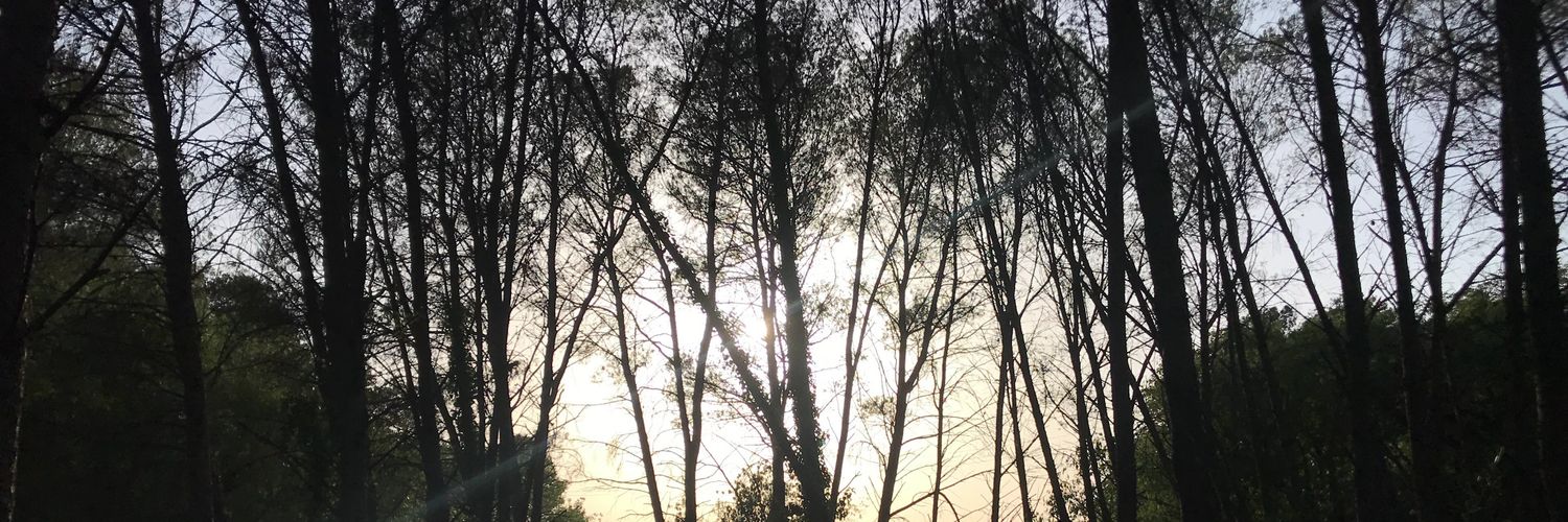 Fermí Fernández banner