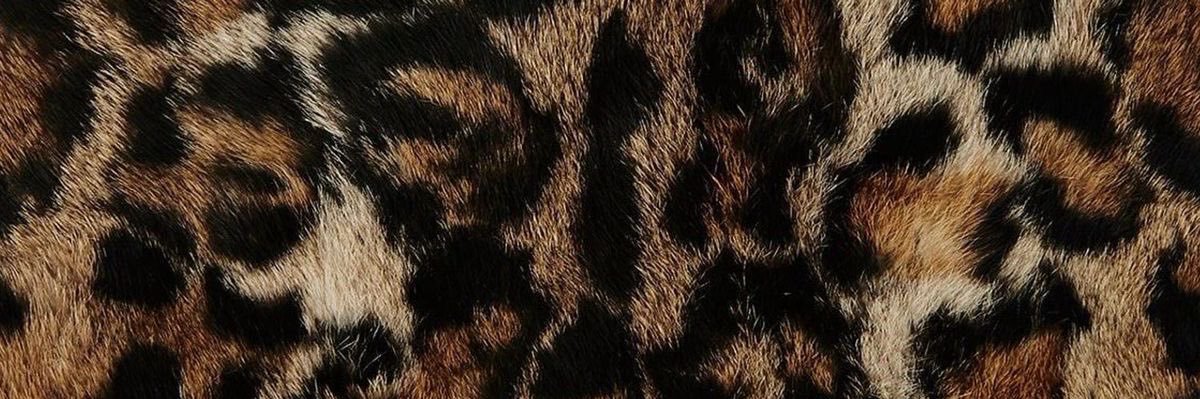 itslexclusive's profile banner image