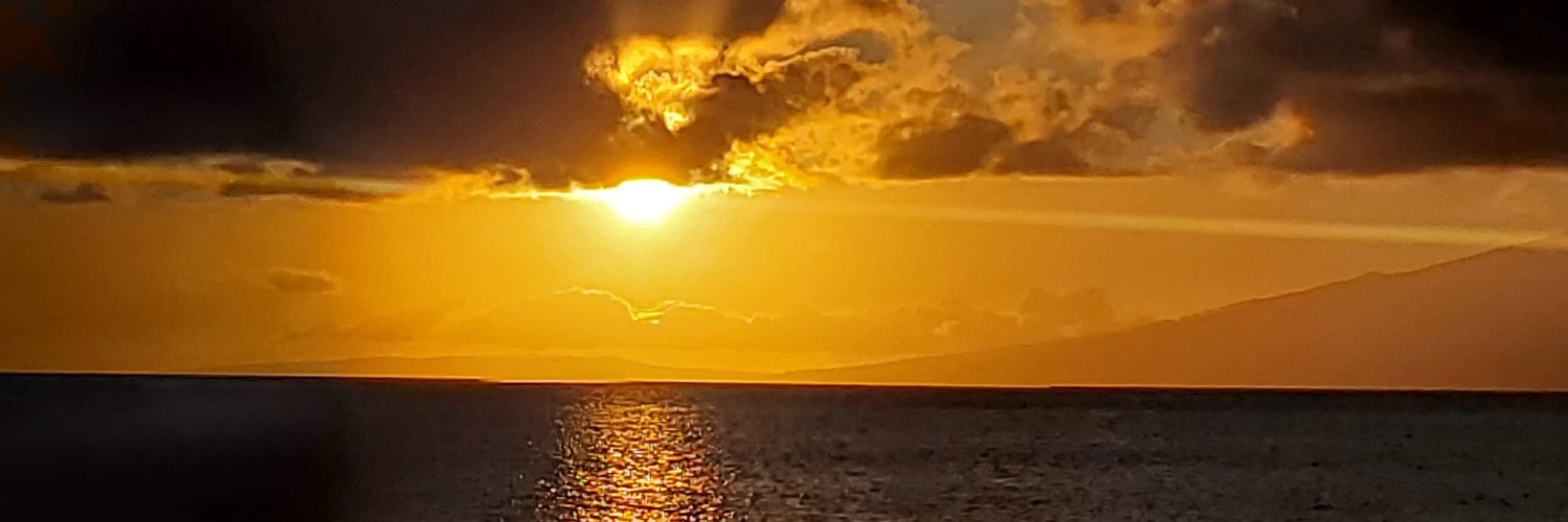 Shannon M Smith banner