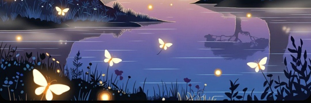 Nx Fi banner