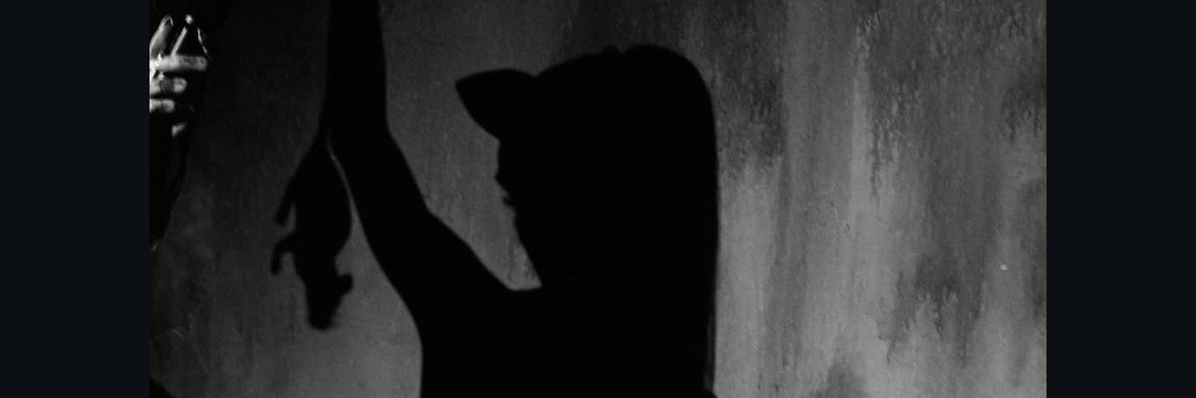moonlightsunari's profile banner image
