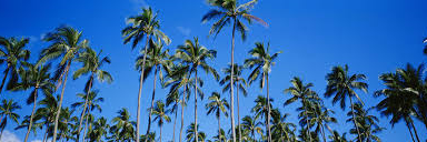 Heidi_WS's profile banner image