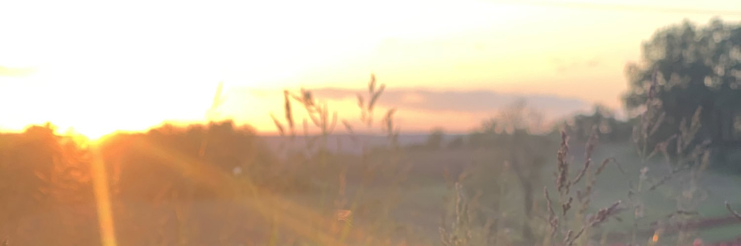 GreenLeafVideo's profile banner image