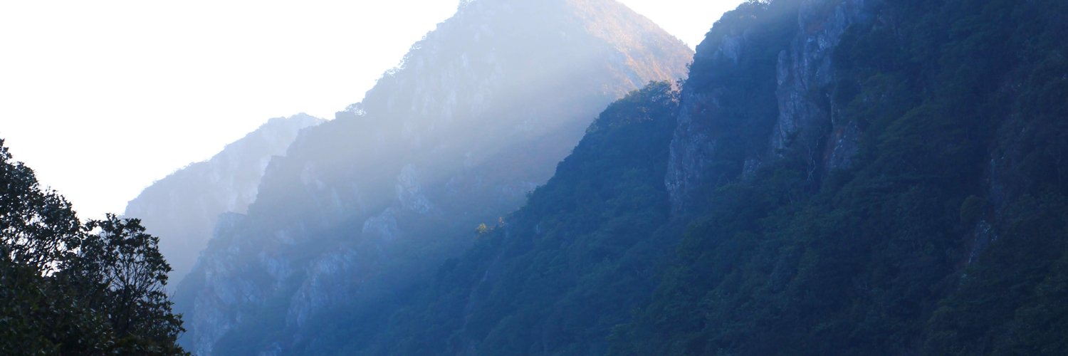 AlienVisionZ's profile banner image