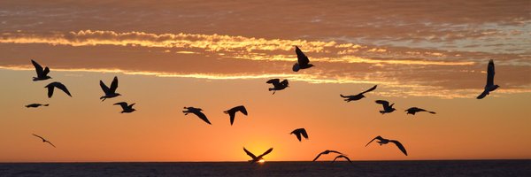 Leahym34Some Profile Banner