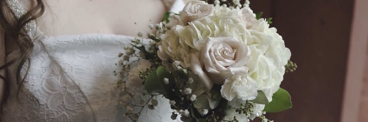 stephaniedetlor's profile banner image