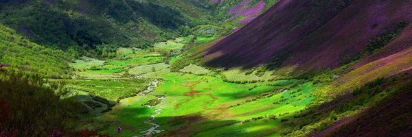 maal2al Profile Banner