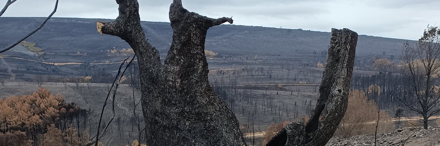 Antonio Escuadra Manso banner