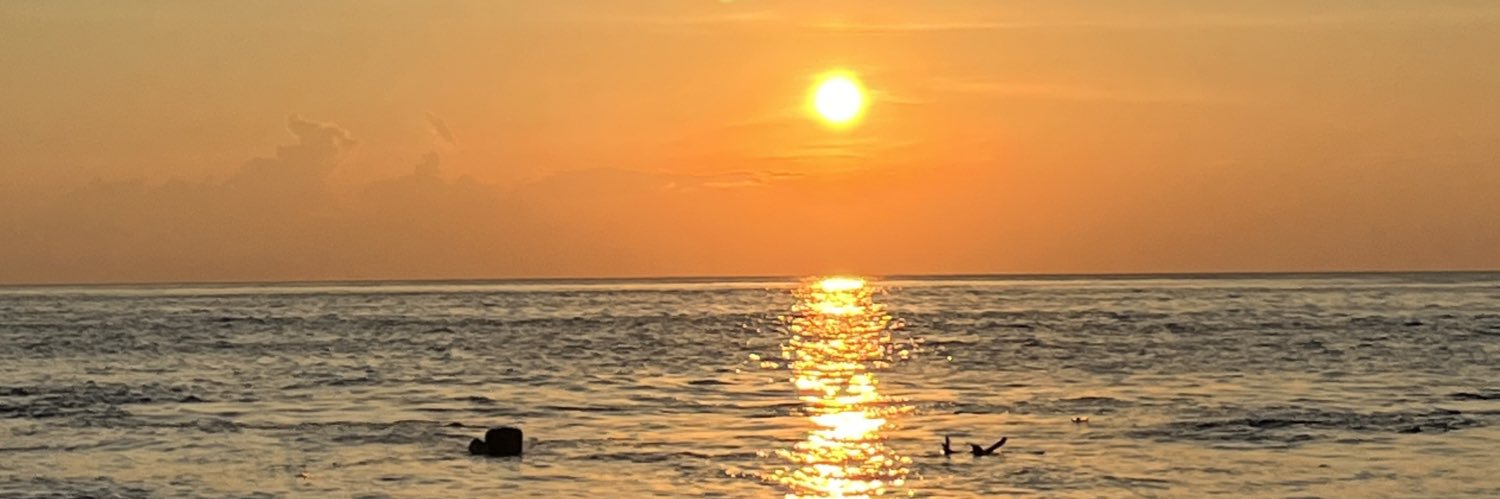 taurusy21's profile banner image