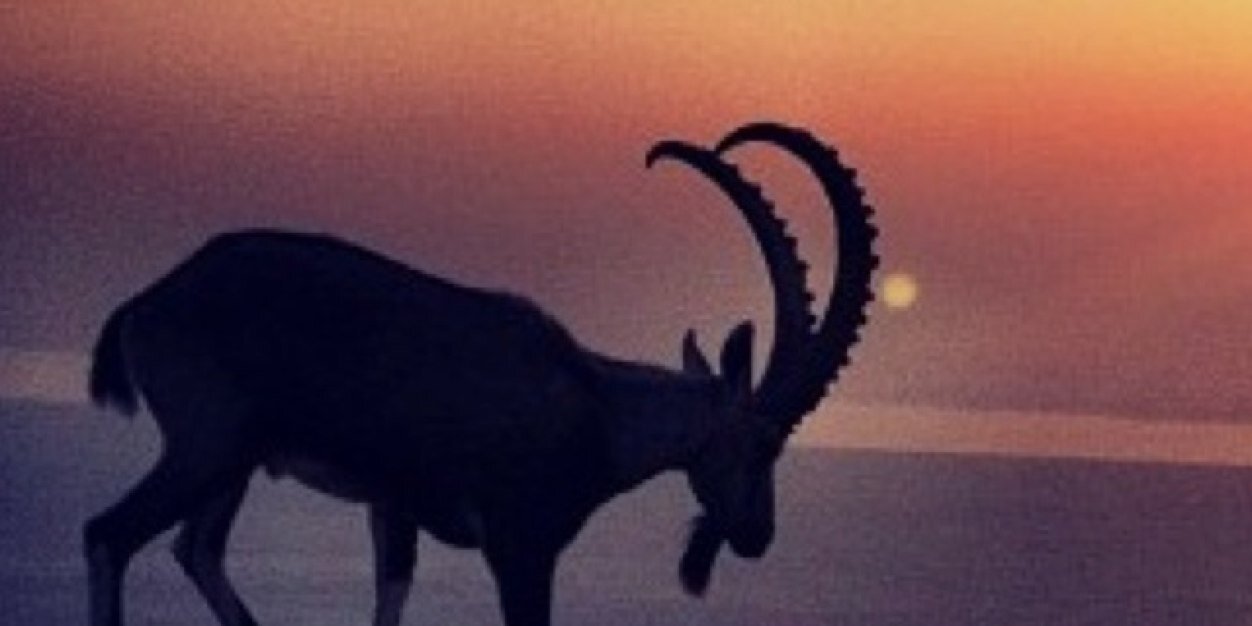 madstaa's profile banner image