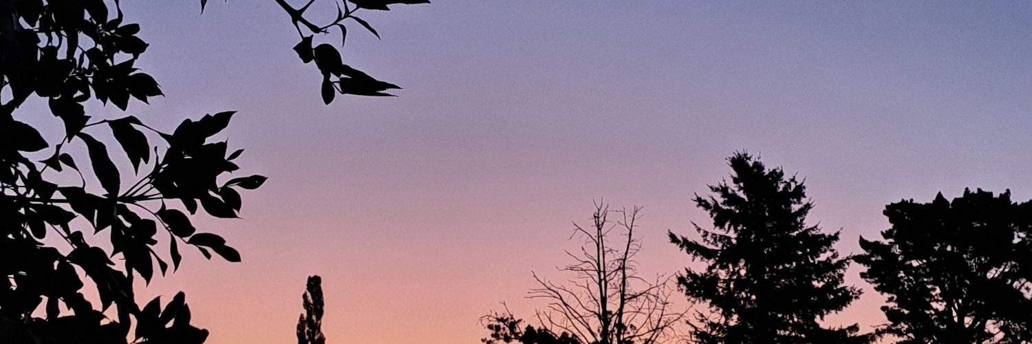 danii974's profile banner image