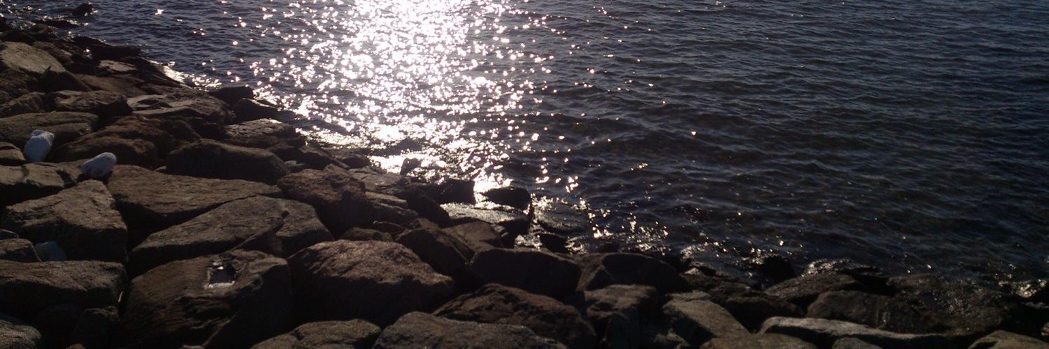 aqualabradorite's profile banner image