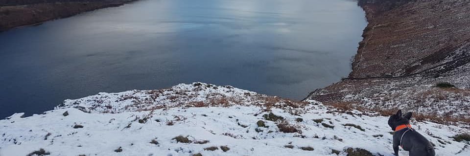 Connor Holliday banner