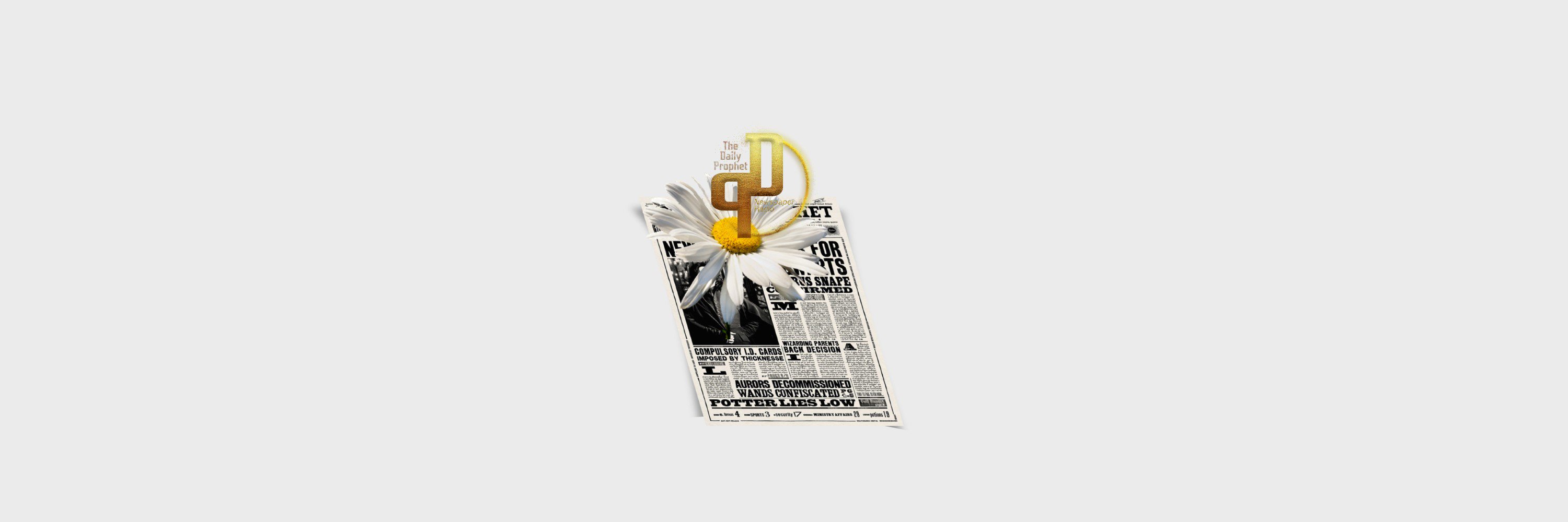 AH_DailyPro's profile banner image