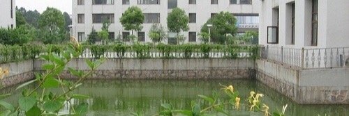 itscalumppgdr's profile banner image
