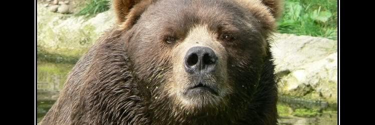 Camtaubert's profile banner image