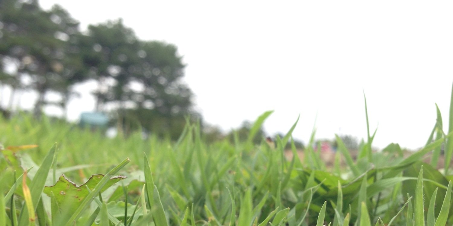 robisko_'s profile banner image