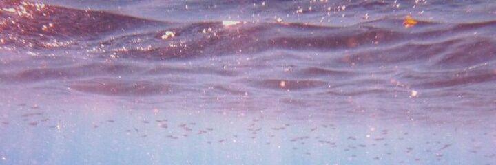 Lea_xxxx's profile banner image