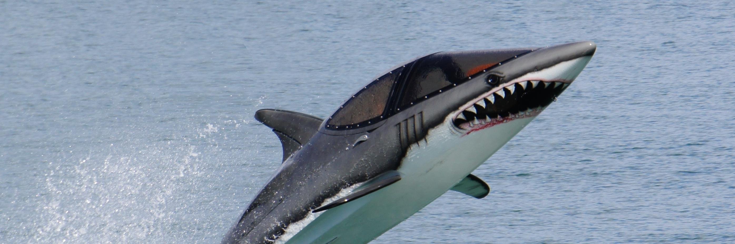 Seabreachersa's profile banner image