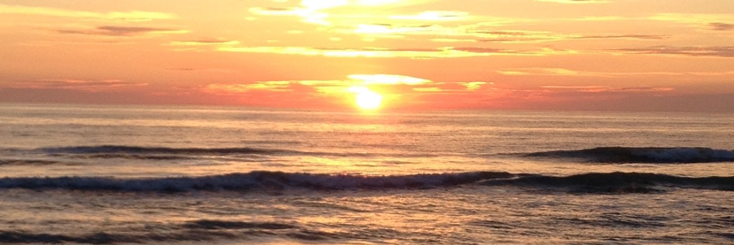 piaborgpedersen's profile banner image