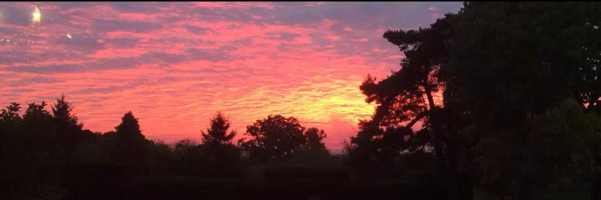 LIZ2841's profile banner image