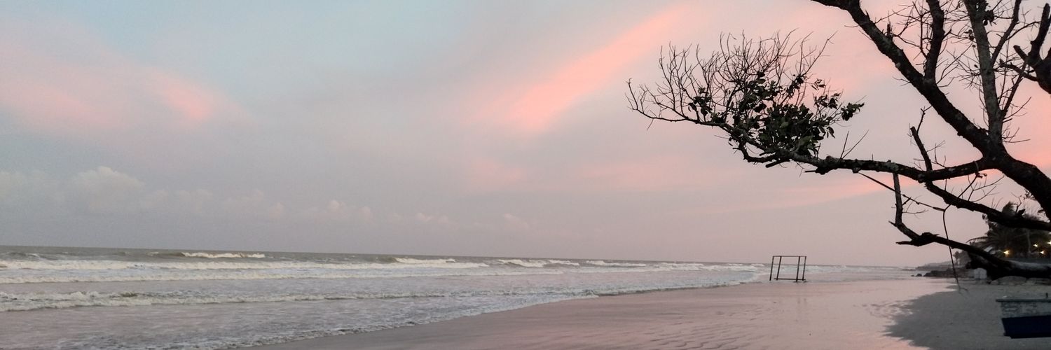 KimiNajmi's profile banner image